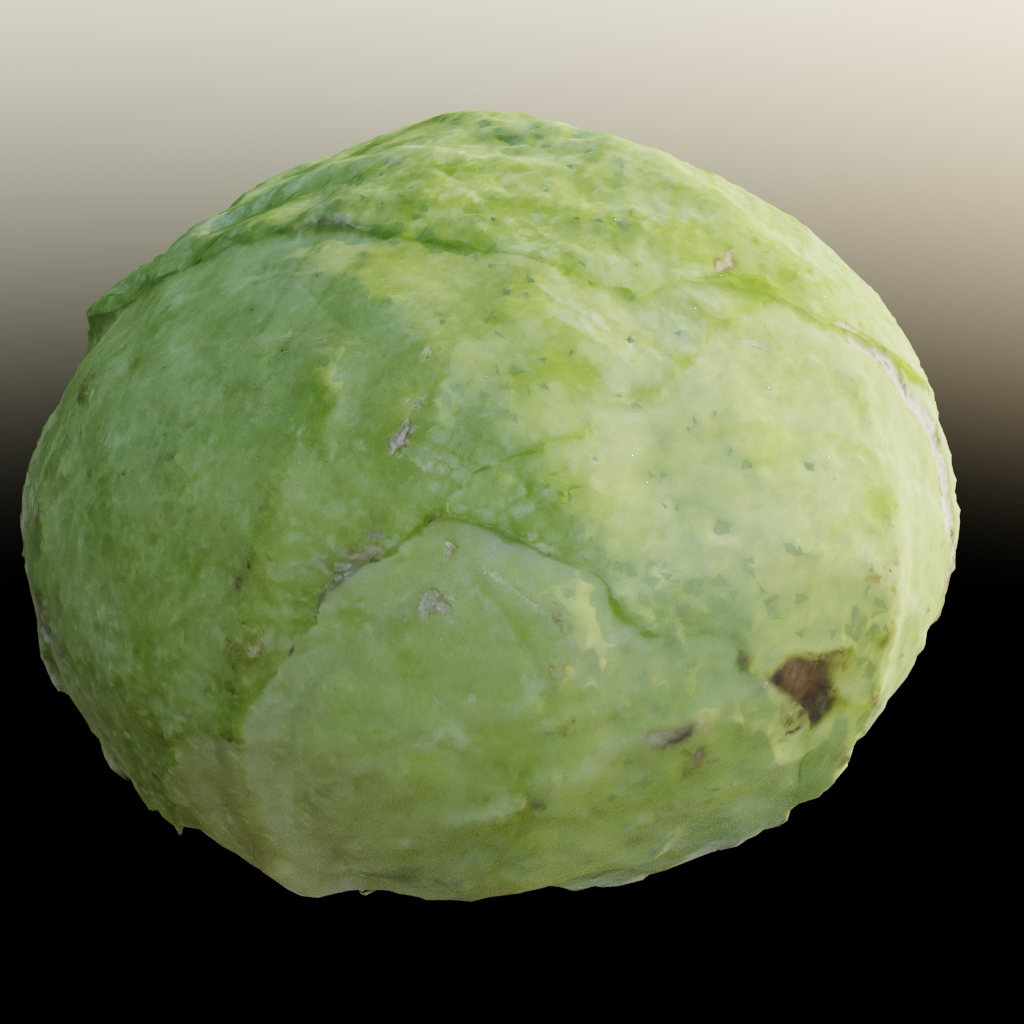 3d scanned cabbage preview image 1